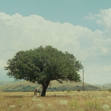 © AMH1.jpg