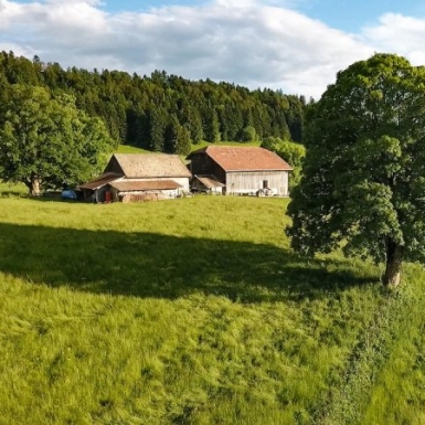 © Jura8.jpg